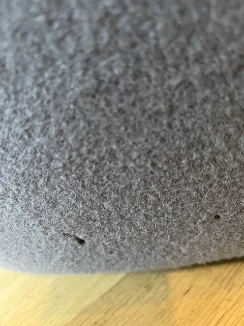 Saruyama Island Moroso