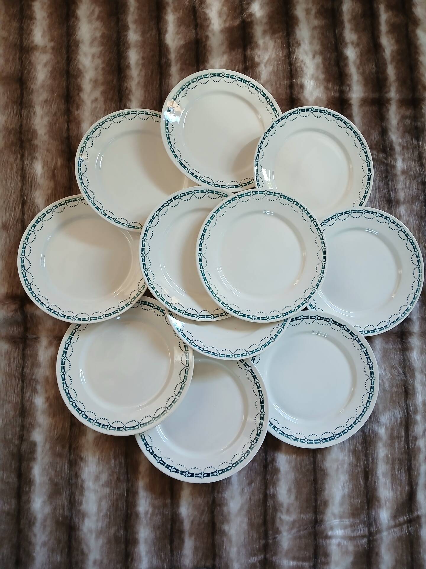 12 flat plates in ironstone from Badonviller