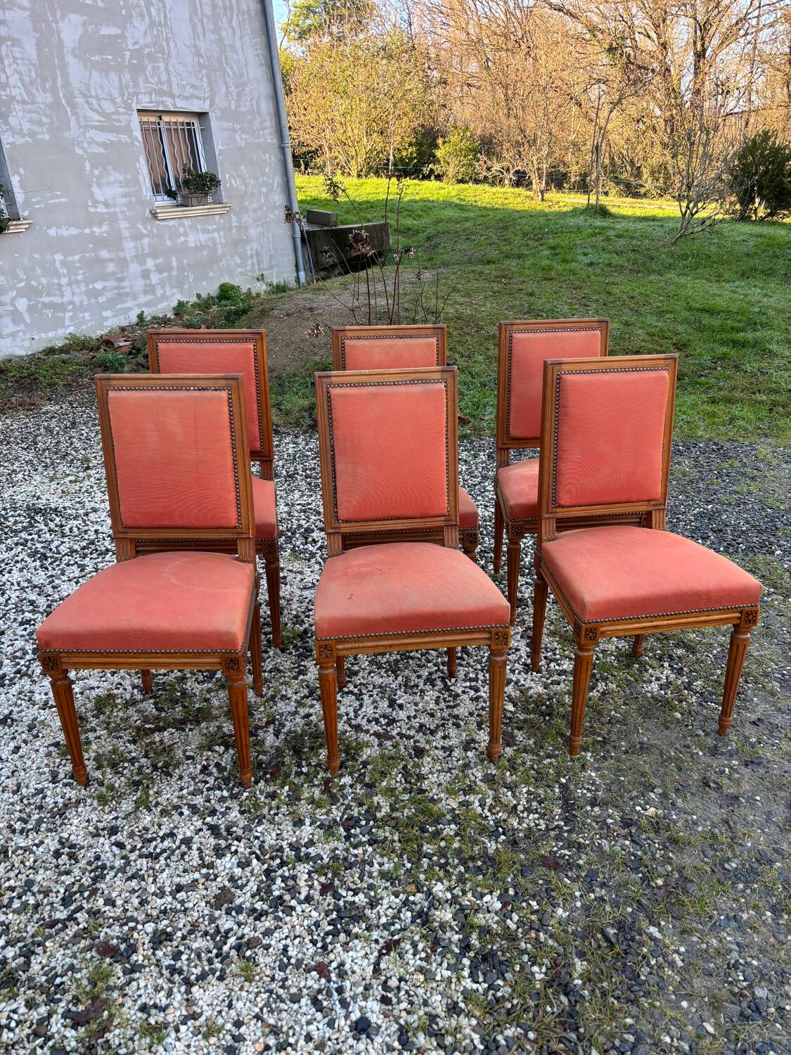 Louis XVI style chairs