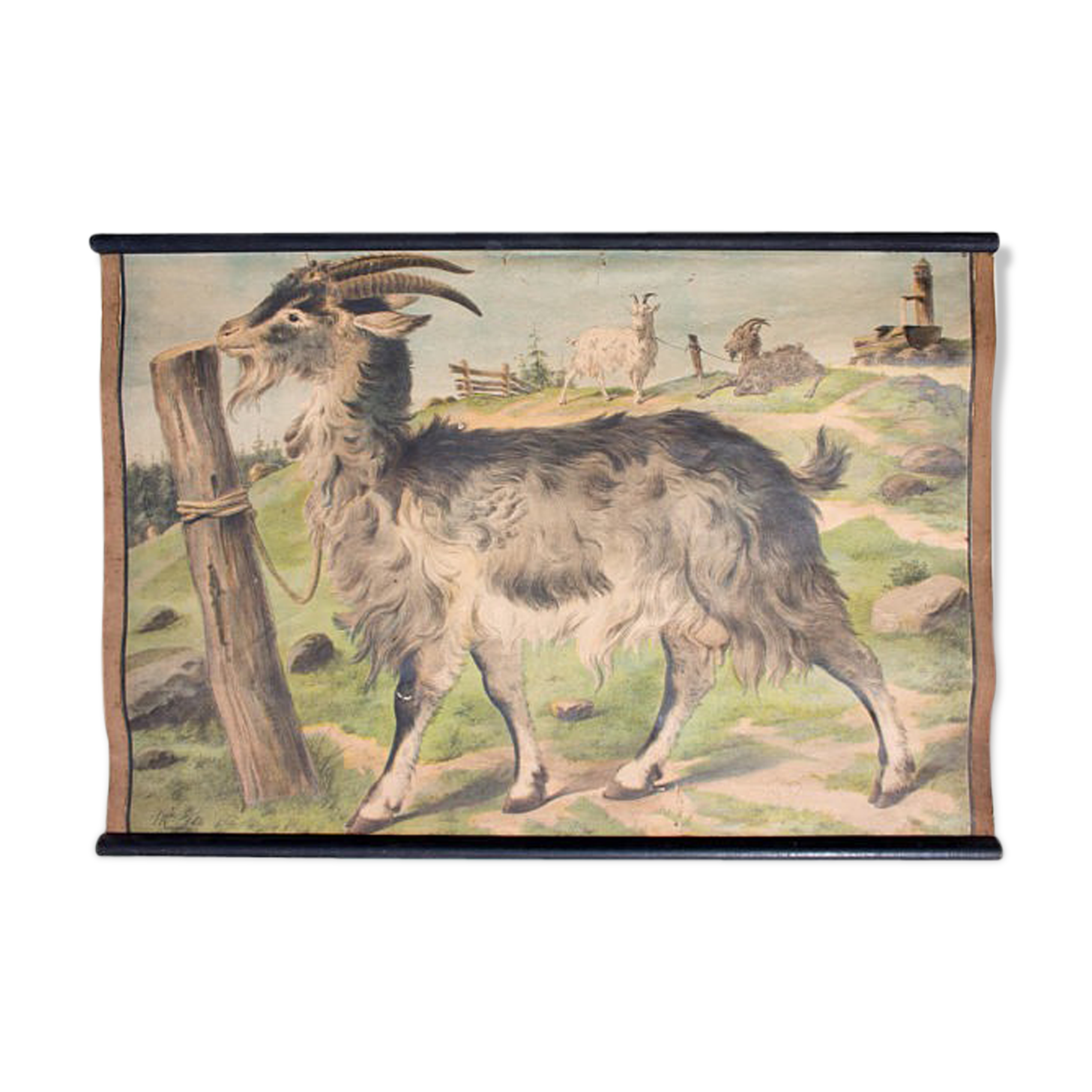 Affiche "Chèvre" grille éducatif 1891