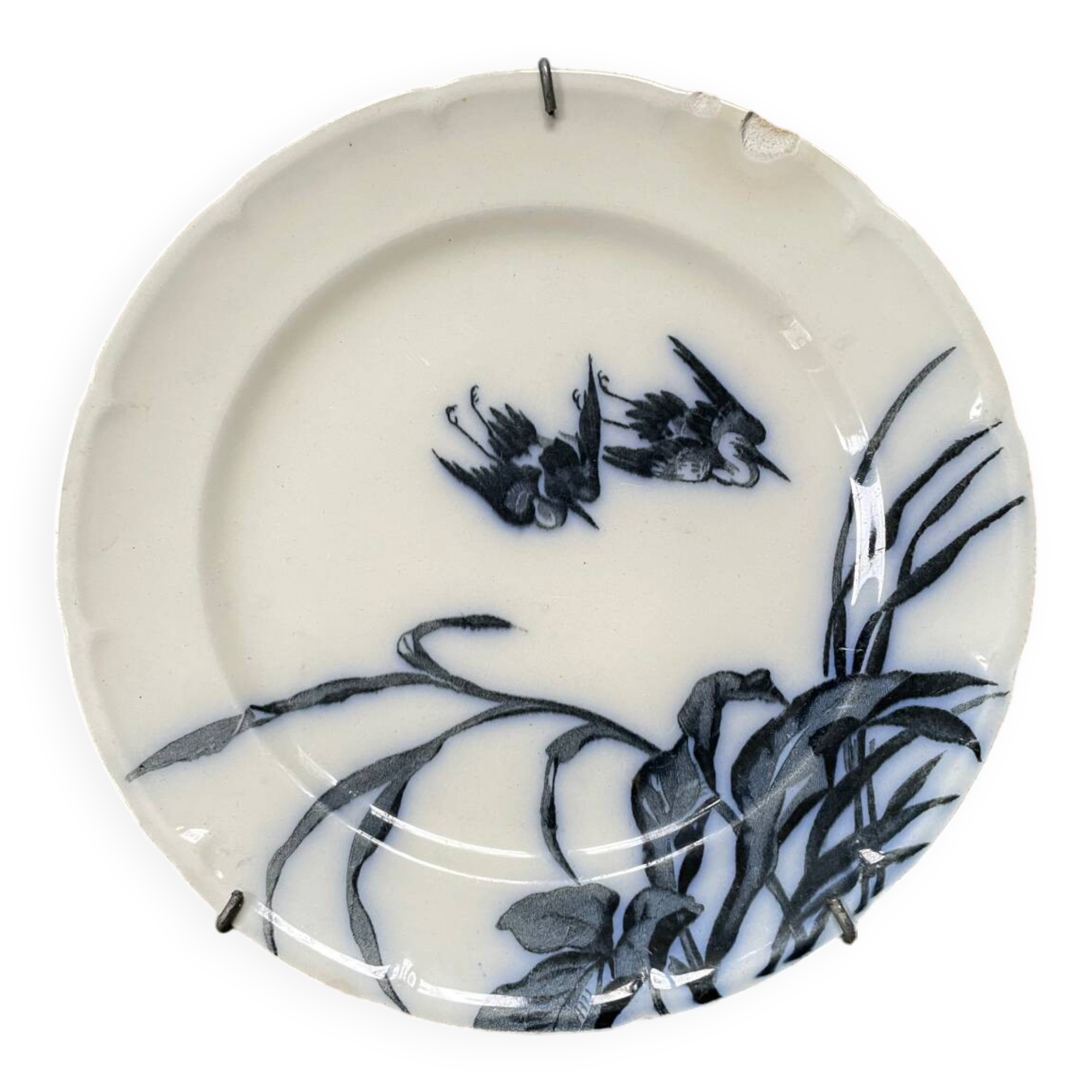 Longwy plate birds Japanese model