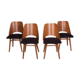 4 lollipop dining chairs from tatra, 1960s
