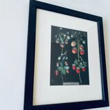 Strawberries framed lithograph
