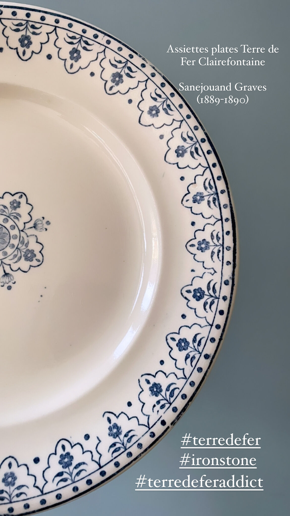 Series of 12 flat plates XIXth earthenware Terre de Fer Clairefontaine