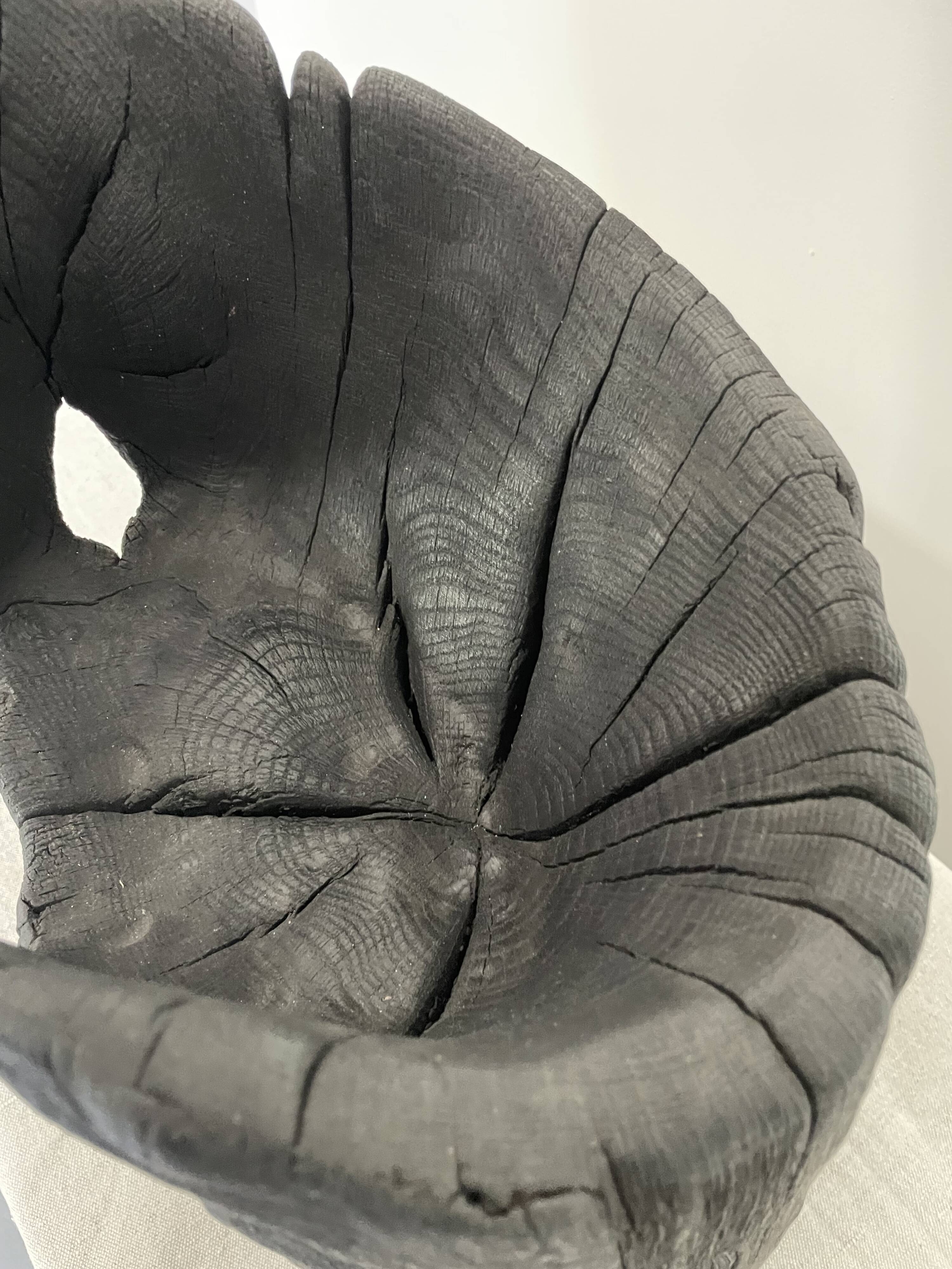 Vase/ Sculpture