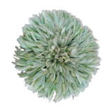 Juju hat light green