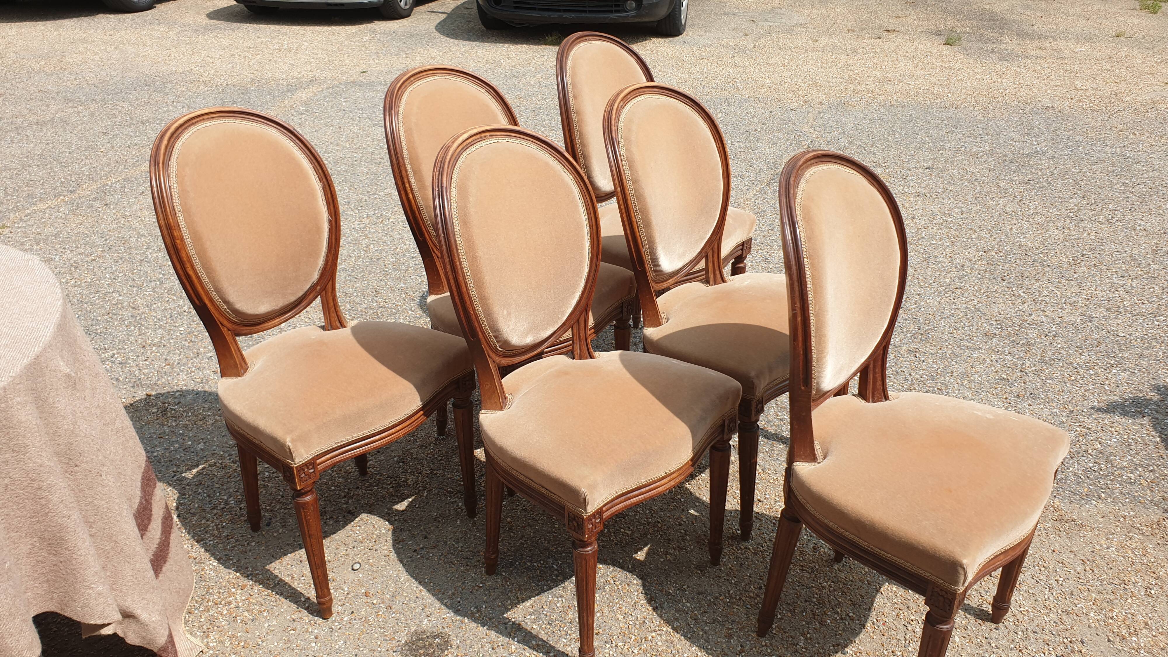 6 Louis XVI medallion chairs