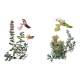 Duo of botanical plates