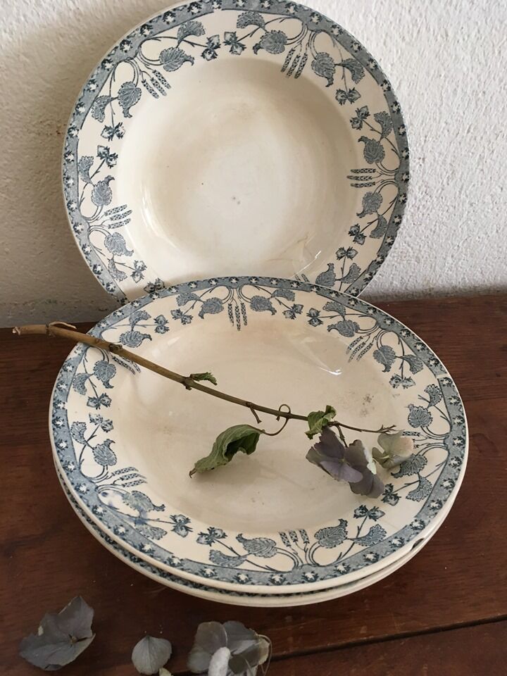 Creuse plates Sarreguemines model "nuts"