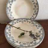 Creuse plates Sarreguemines model "nuts"