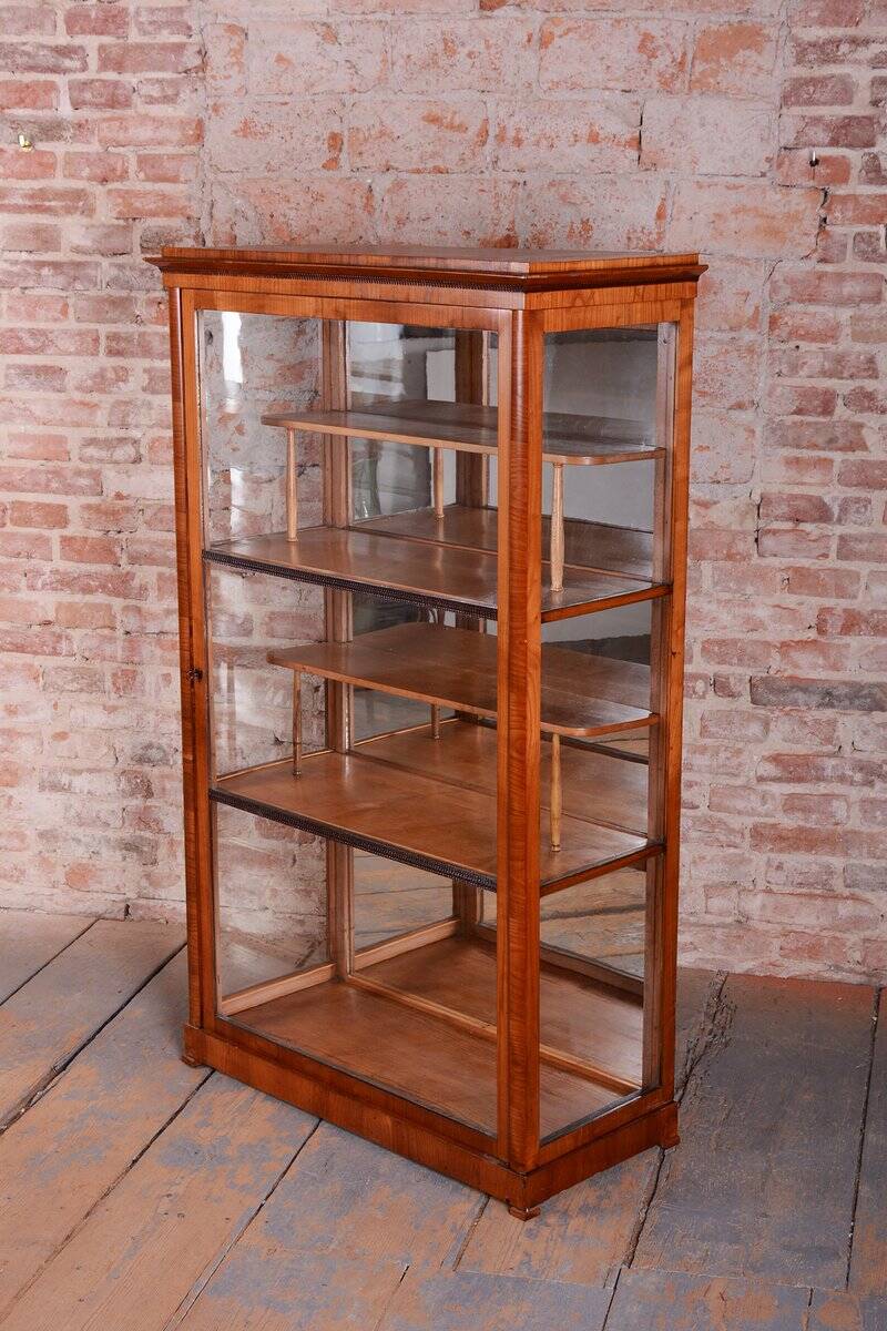 Antique Biedermeier Display Cabinet in Spruce, 1830s