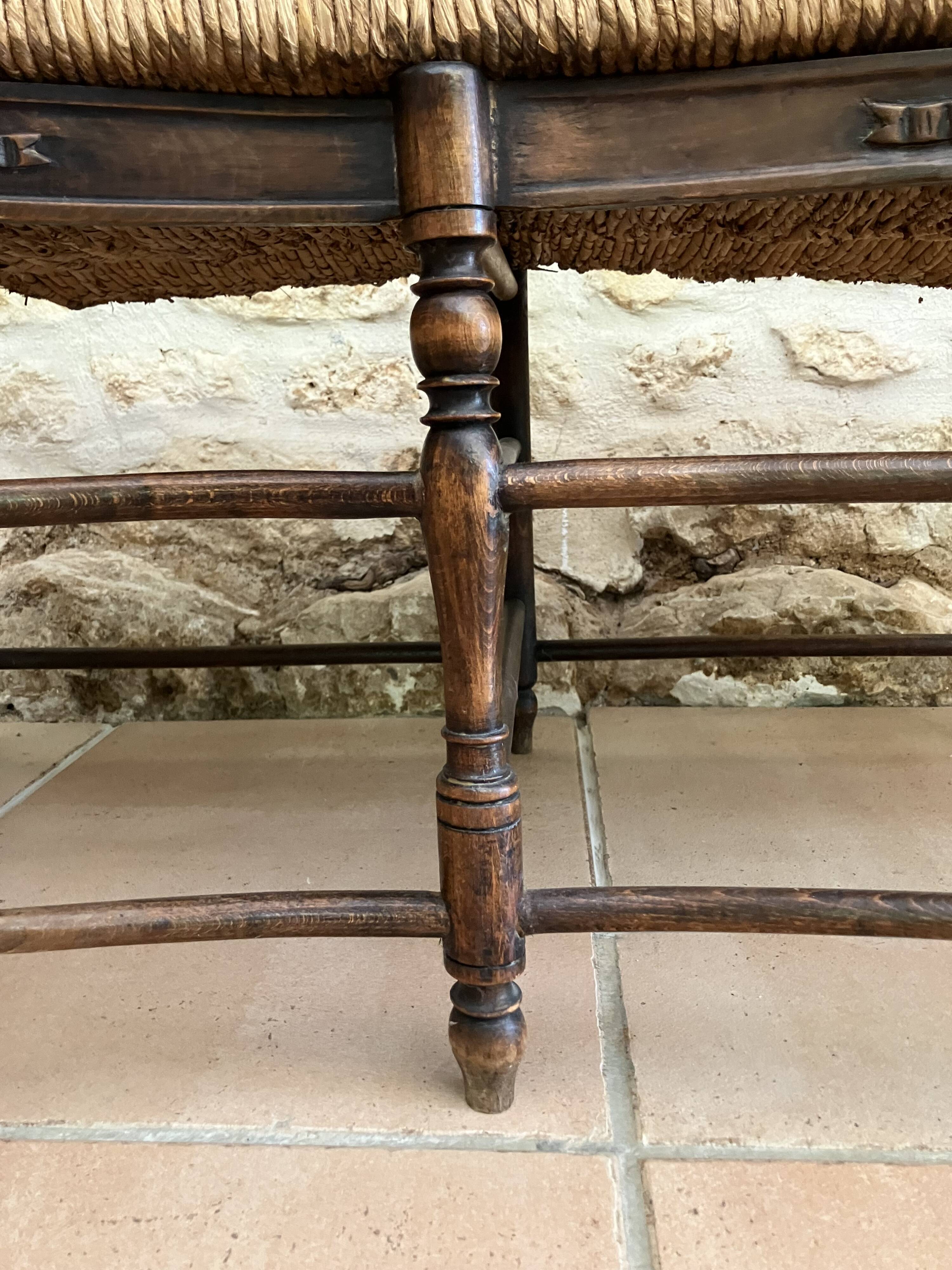 Elegant radassier