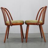Ensemble de quatre chaises de salle à manger Šuman en hêtre, style milieu du siècle, datant des années 1960, avec revêtement restauré.