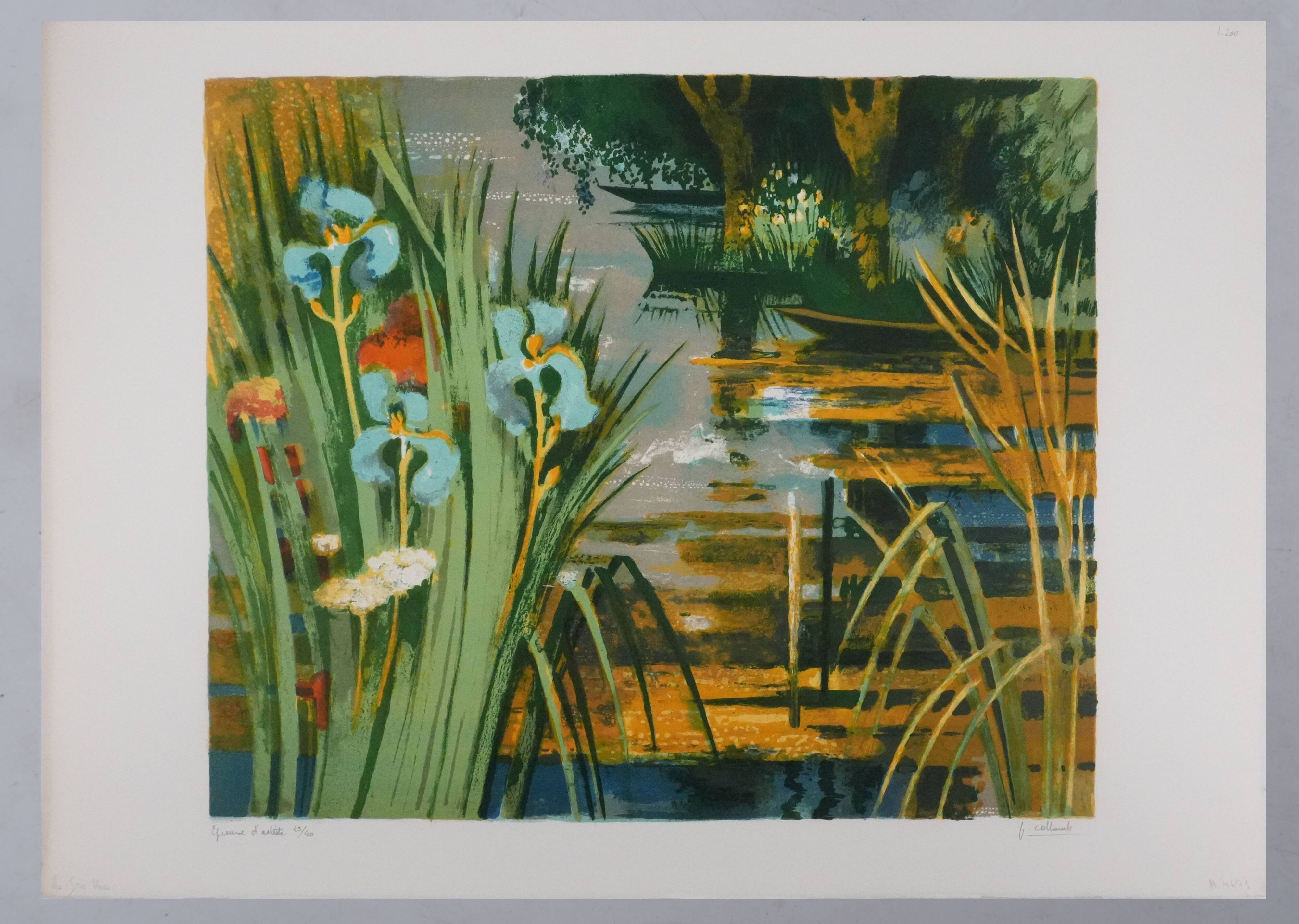 Paul collomb : les iris bleues, lithographie originale signée