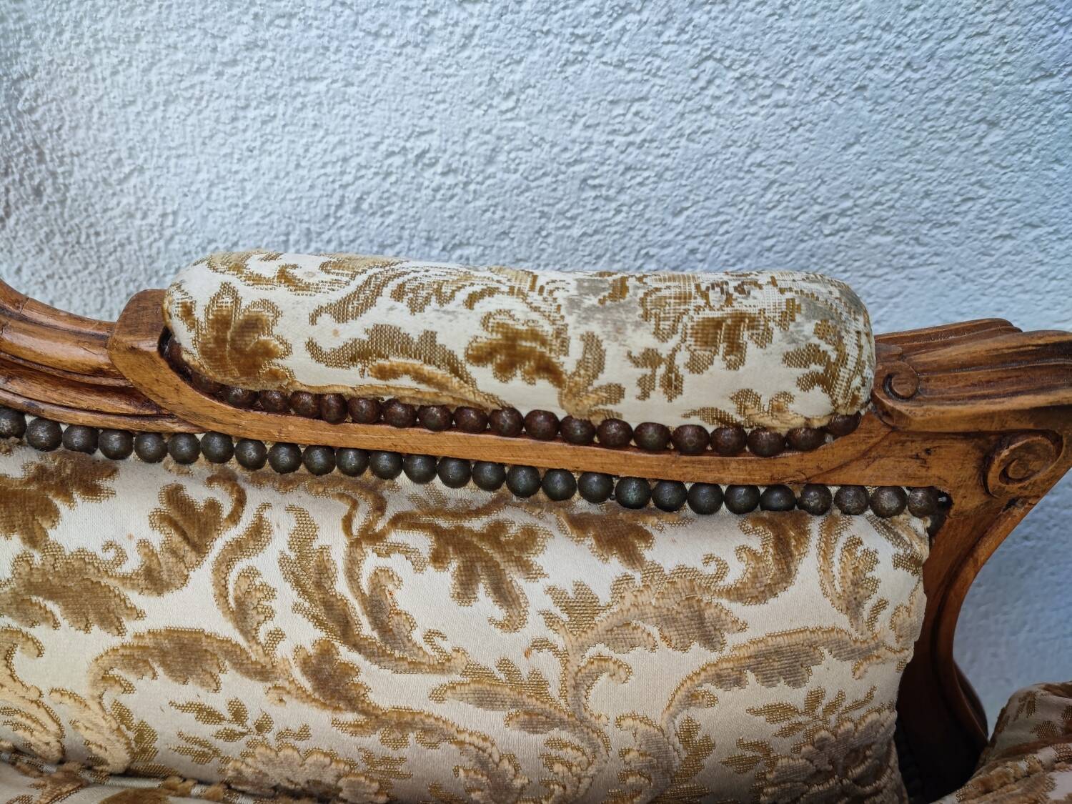 Large shepherdess with ears