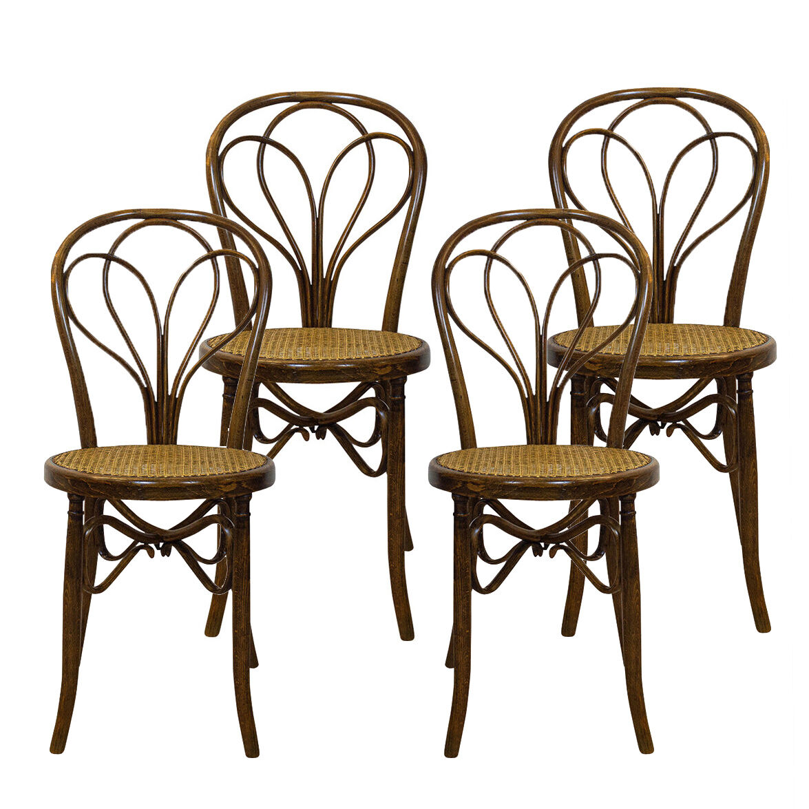 Antique Spanish Bentwood Chair in Oak by Ventura Feliu, 1890s, Set of 4