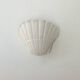 Pair of vintage shell wall lights, matte white plaster, France, 1970.