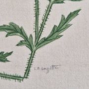 La Roche Laffitte (Born in 1943) - Watercolour drawing on silk - Poppies