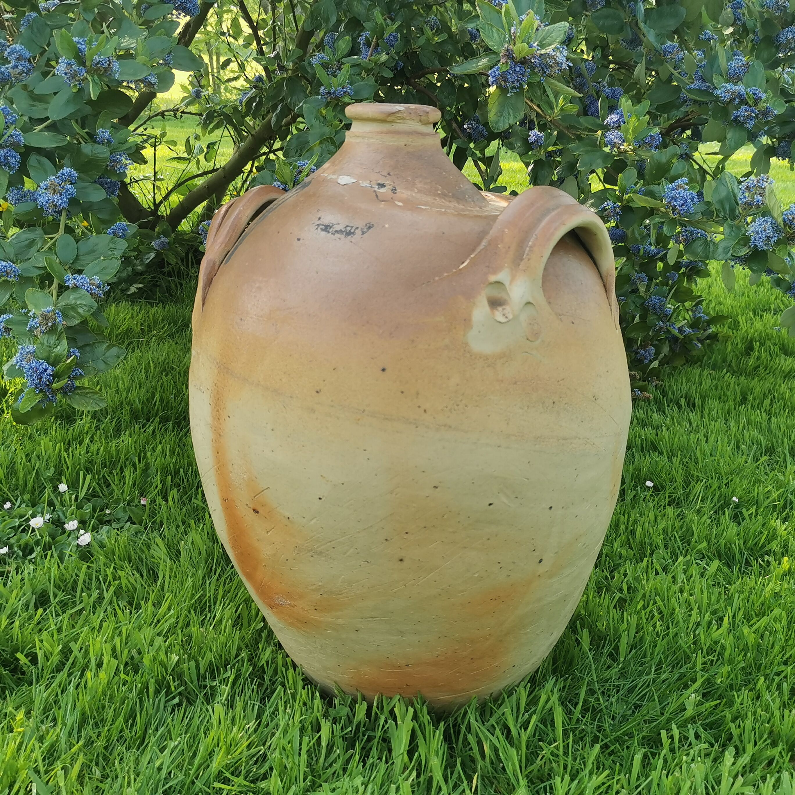 Terracotta jar 54cm