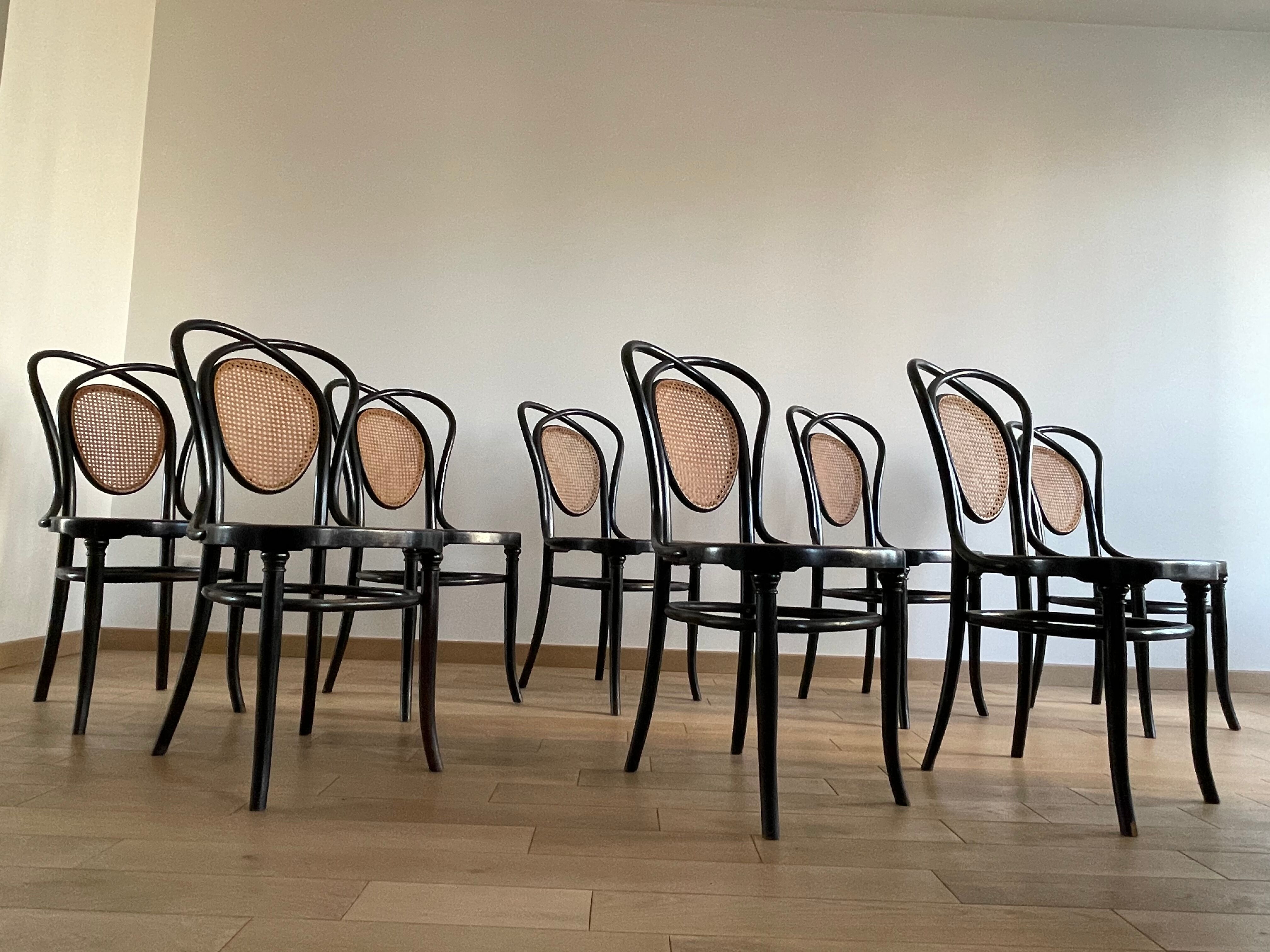 Series of 8 Viennese chairs N.33 by J&J Kohn, 1900