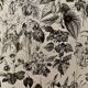 Lithograph engraving on flowers from 1928 (trees and shrubs)