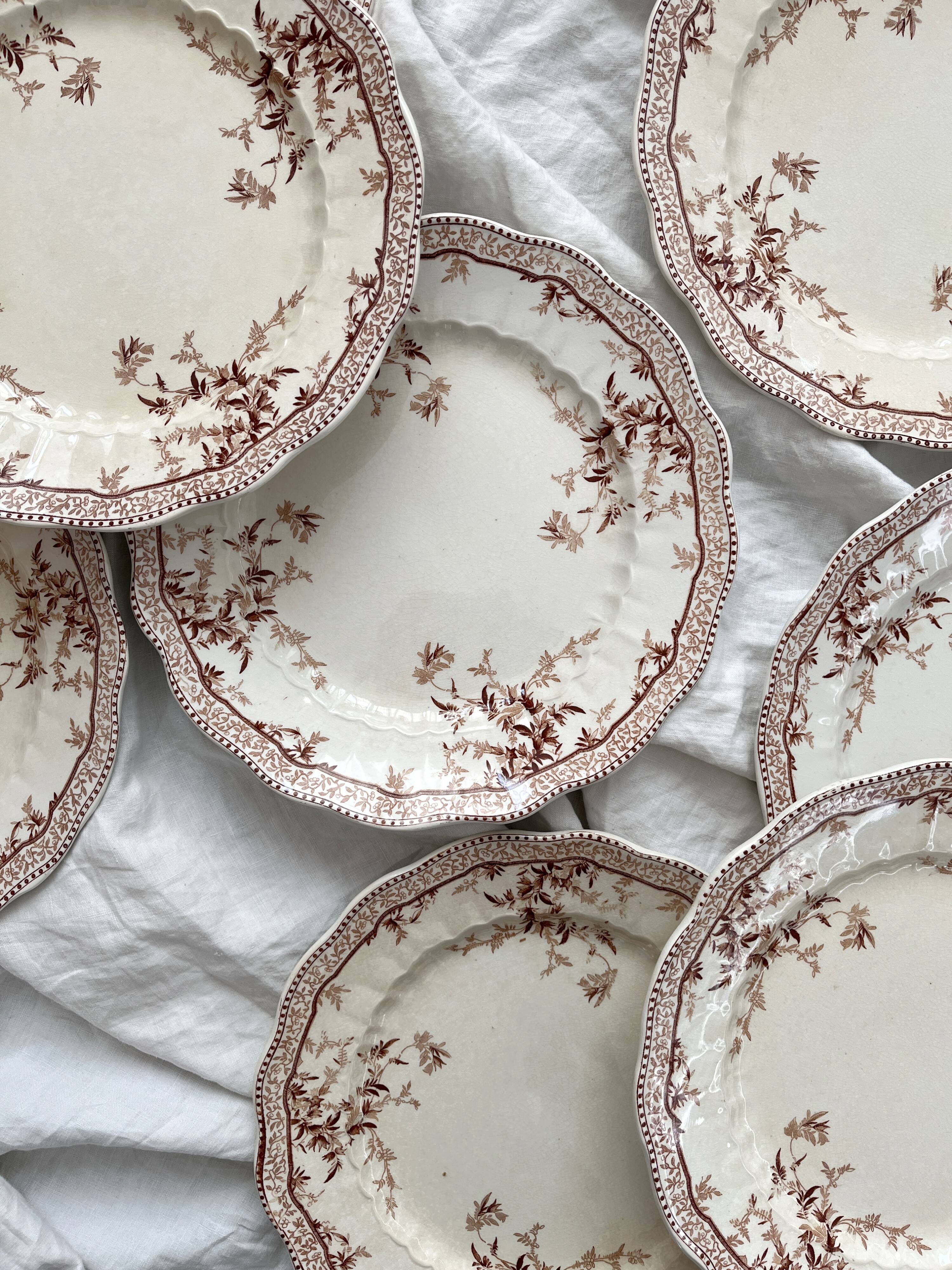 8 Ridgways England Royal Semi Porcelain "Eton" Ironstone Dinner Plates