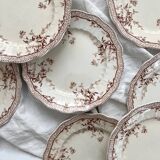 8 Ridgways England Royal Semi Porcelain "Eton" Ironstone Dinner Plates