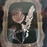 Herbarium in a nice setting