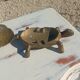 Vintage bronze turtle ashtray