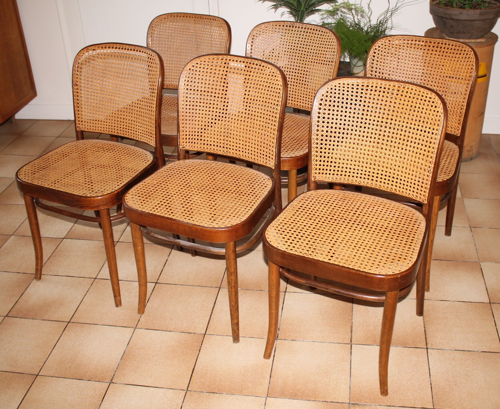 Set of 6 chairs canned drevounia
