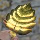 Pair of vintage leaf-shaped pockets, brass leaf cup