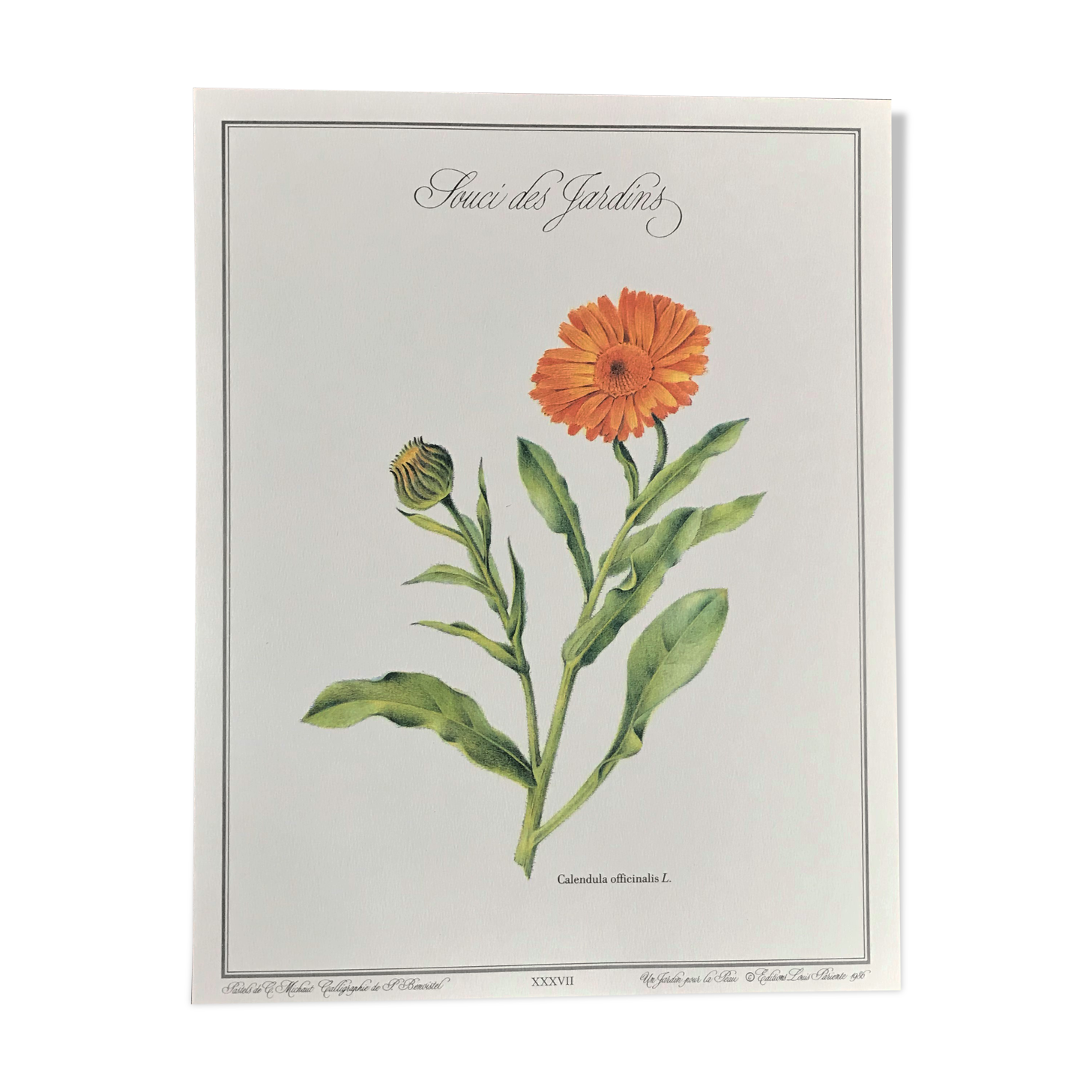 Botanical board the Garden Concern