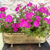 Jardiniere cache pot