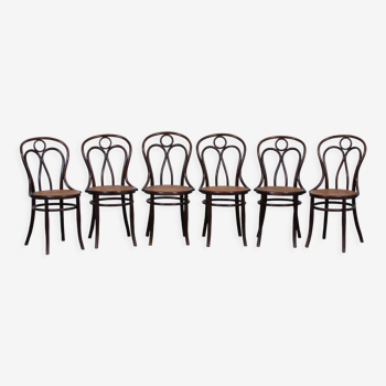 Suite of 6 bistro chairs by Josef Hofmann in canning