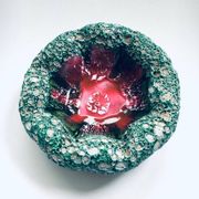 Mid-Century Italian Modern Art Pottery Bowl with Ocean Coral Structure, 1960s