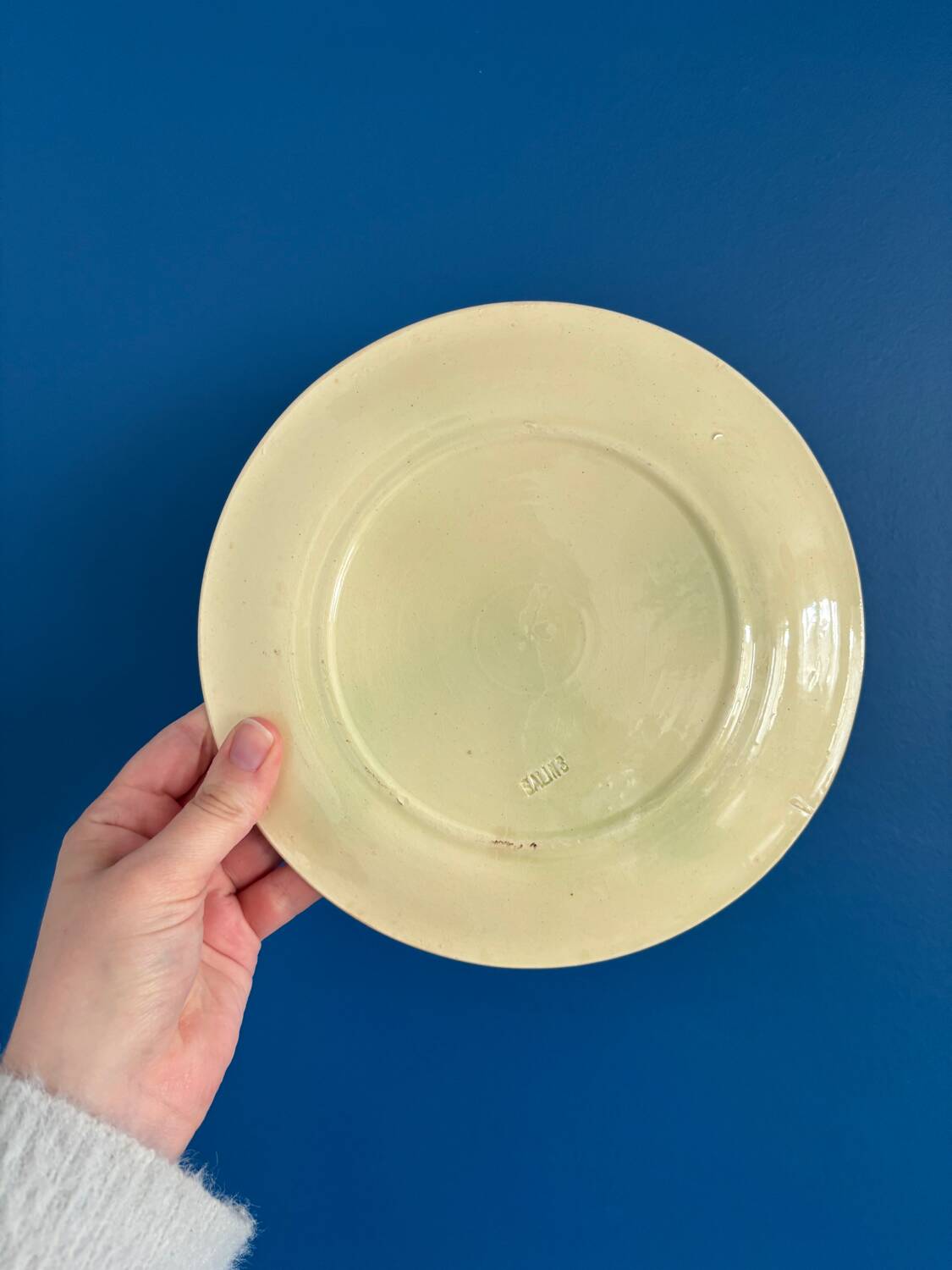 Set of 2 Salins Barbotine Plates - Vintage Parakeet Decor - service