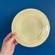 Set of 2 Salins Barbotine Plates - Vintage Parakeet Decor - service