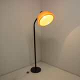 1960s Adjustable Floor Lamp