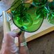 6 emerald green cups – 1970s, retro light