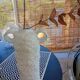 Lot de 4 vases sculpturaux esprit minéral Boho