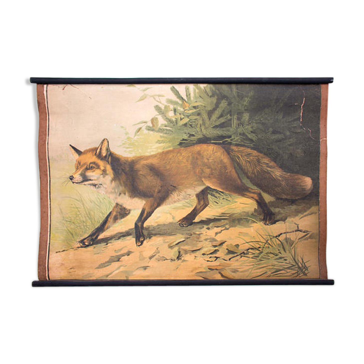 Poster "fox" lithography Karl Jansky Böhmen 1897