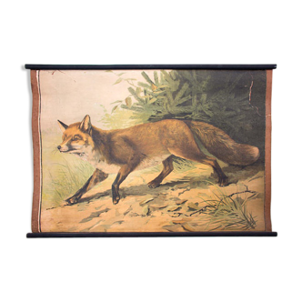 Poster "fox" lithography Karl Jansky Böhmen 1897