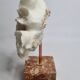 Old white coral "méandrine" on marble base, 25 cm