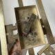 Pair of Regency brass wall lights in Italy