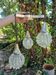 Chandelier, vintage waterfall suspension