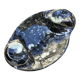 Empty tray pocket in fossilized stone