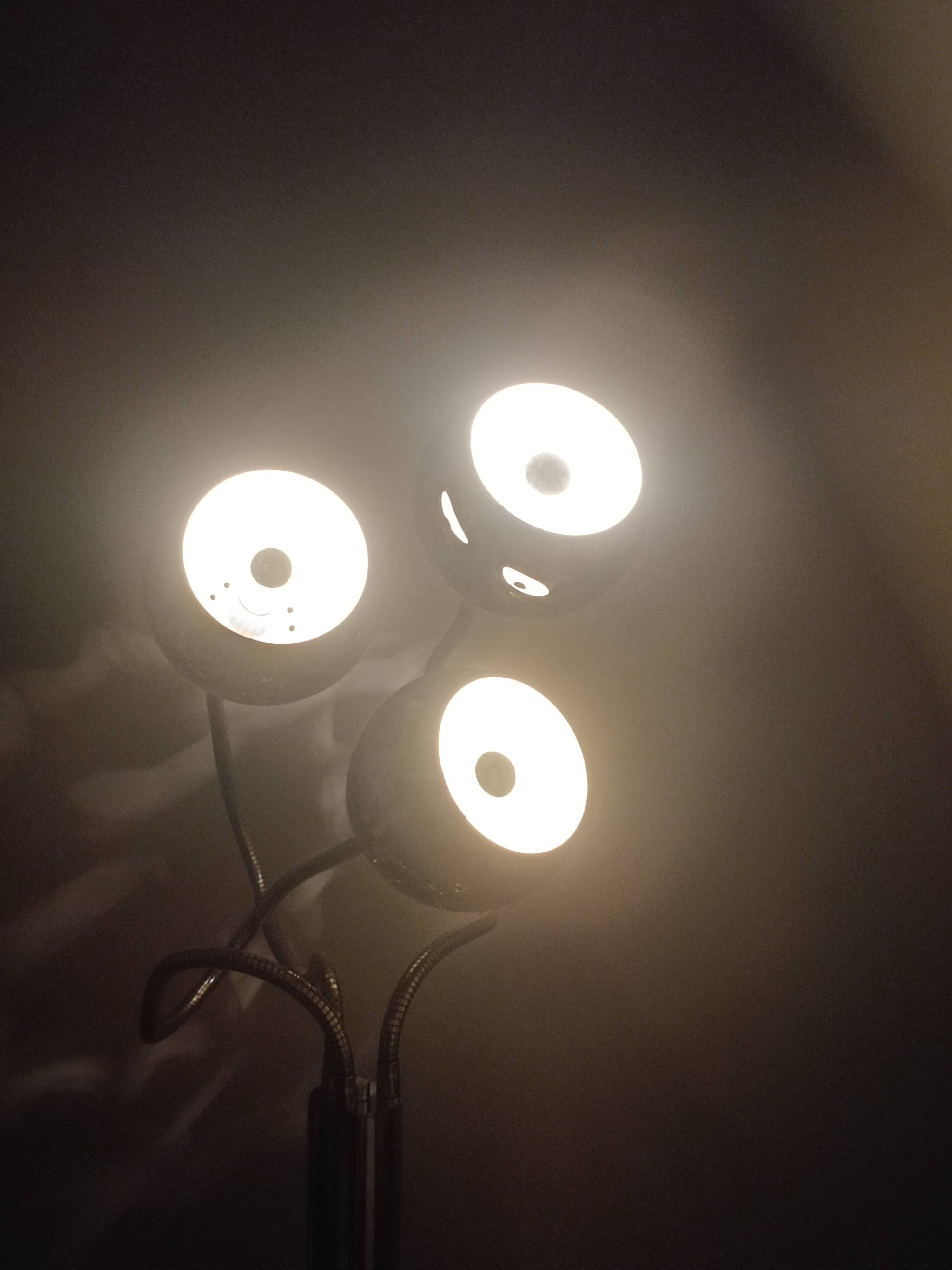 Eyeballs Floor Lamp by Goffredo Reggiani 1970s