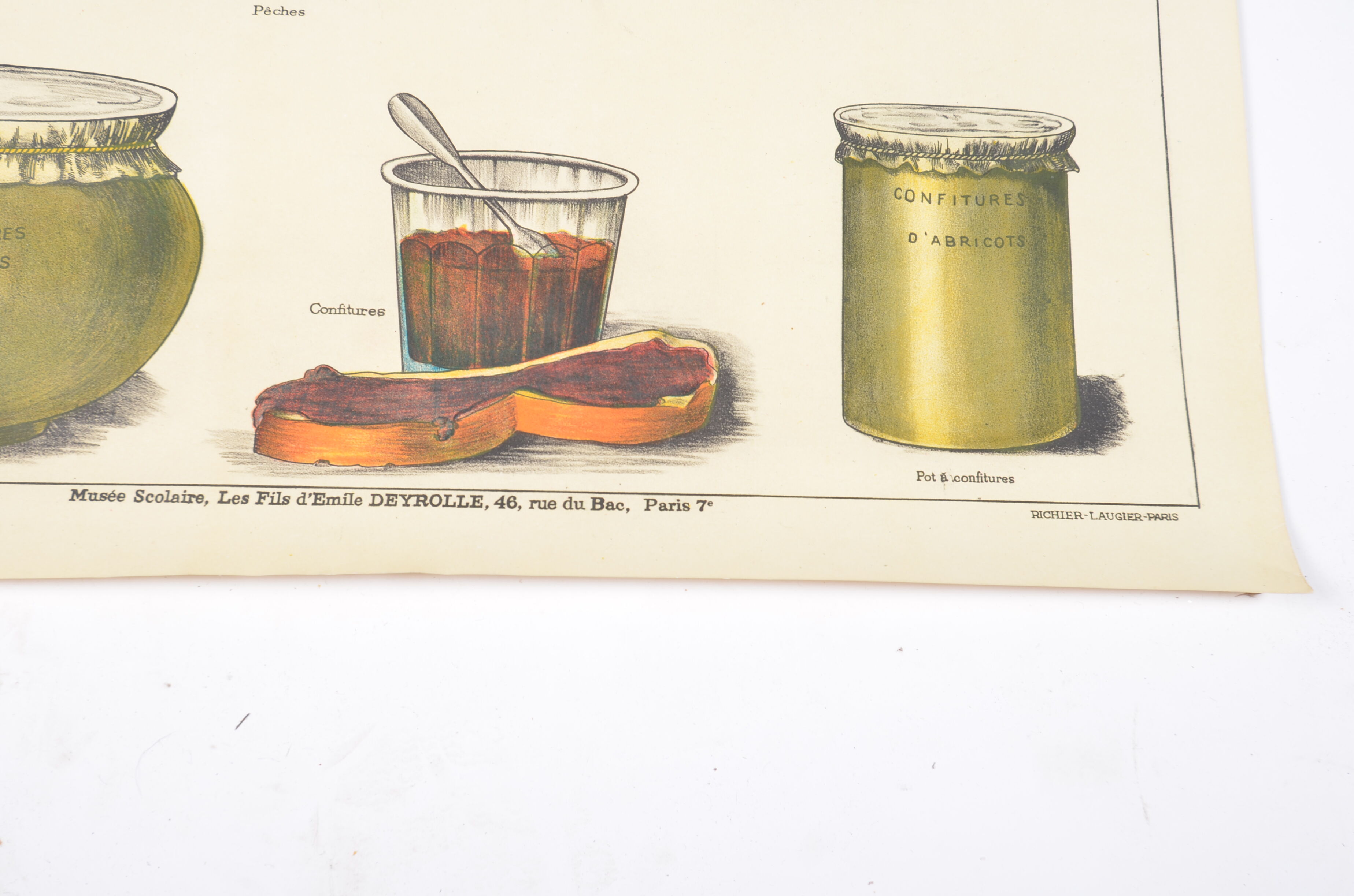 Poster Deyrolle "the compotes"