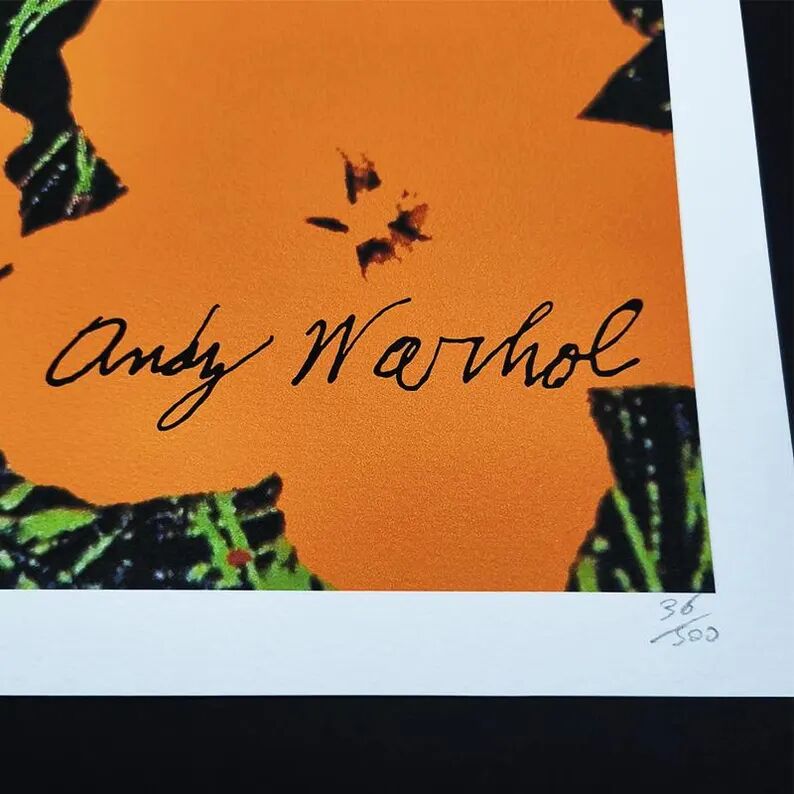 Lithographie d'Andy Warhol Édition Limitée par Cmoa. Après, COA