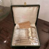 Box of 12 ERCUIS coffee spoons